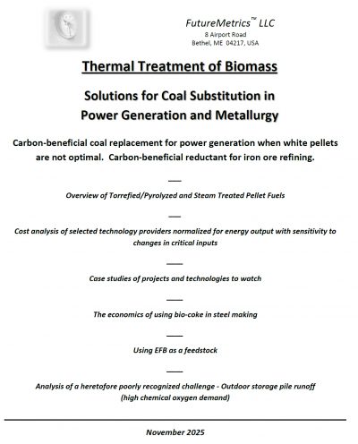 Thermal Treatment of Biomass  - Solutions for Coal Substitution in Power Generation and Metallurgy