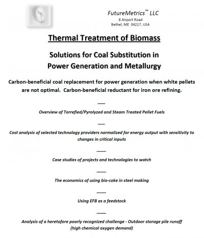 Thermal Treatment of Biomass  - Solutions for Coal Substitution in Power Generation and Metallurgy
